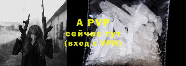 ГАЛЛЮЦИНОГЕННЫЕ ГРИБЫ Белоозёрский