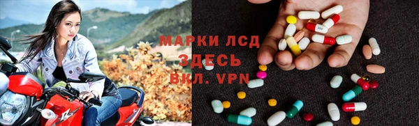 стаф Беломорск
