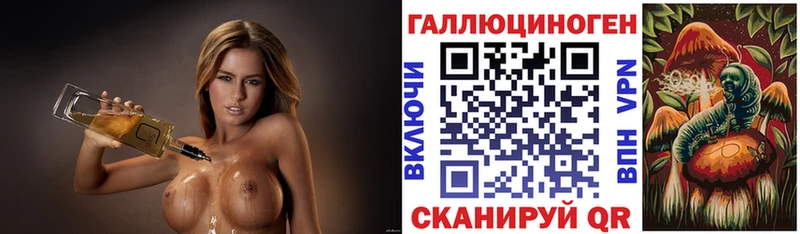 Псилоцибиновые грибы Psilocybe  Вытегра 