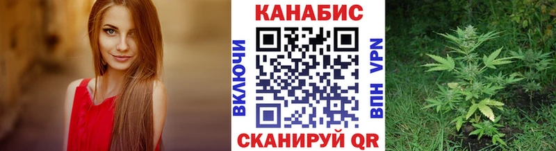 Конопля OG Kush Вытегра