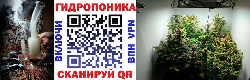 OMG зеркало  Вытегра  Канабис SATIVA & INDICA 